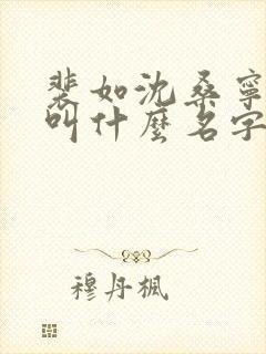裴如沈桑宁小说叫什么名字