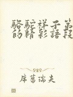 骆驼祥子第四章的精彩语段