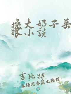 操大奶子岳母屁眼小说