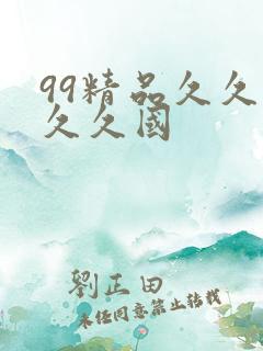 99精品久久久久久国