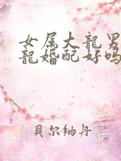 女属大龙男属小龙婚配好吗