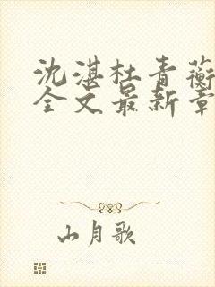 沈湛杜青蘅小说全文最新章节更新
