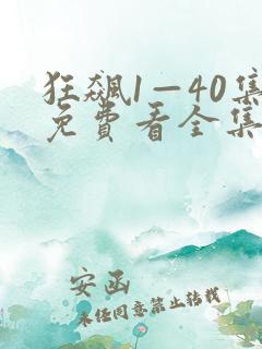 狂飙1—40集免费看全集