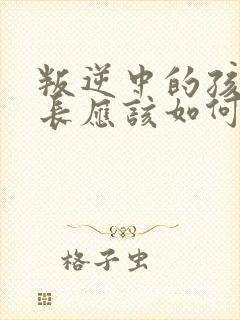 叛逆中的孩子家长应该如何对待