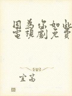 因为你如此耀眼电视剧免费观看全集