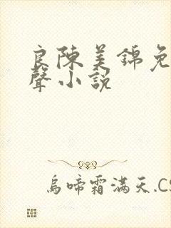 良陈美锦免费有声小说