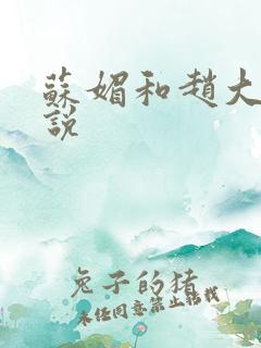 苏媚和赵大宝小说
