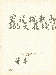 霸道总裁和我的365天在线观看