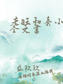 老旺和秦小雨的全文书