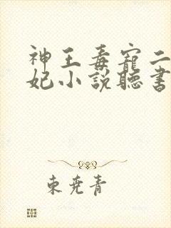神王毒宠二嫁王妃小说听书