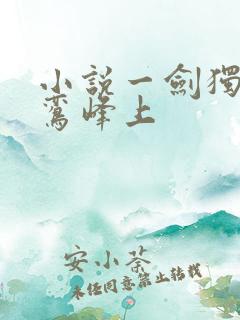 小说一剑独尊青鸾峰上