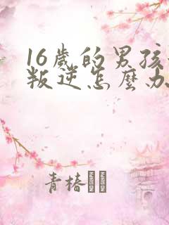 16岁的男孩很叛逆怎么办