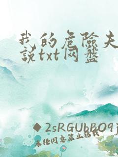 我的危险夫人小说txt网盘