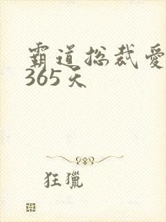 霸道总裁爱上我365天