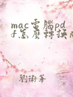 mac电脑pdf怎么转换成word文档