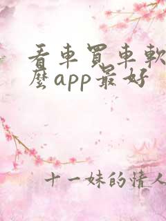 看车买车软件什么app最好