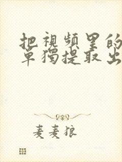 把视频里的音频单独提取出来