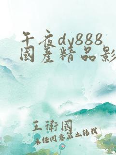 午夜dy888国产精品影院