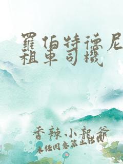罗伯特德尼罗出租车司机