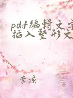 pdf编辑文字插入竖形文本
