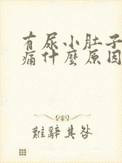 有尿小肚子就胀痛什么原因引起的