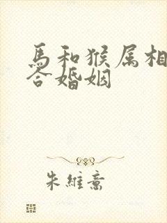 马和猴属相合不合婚姻