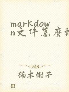markdown文件怎么转成pdf