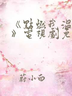 《点燃我温暖你》电视剧免费观看
