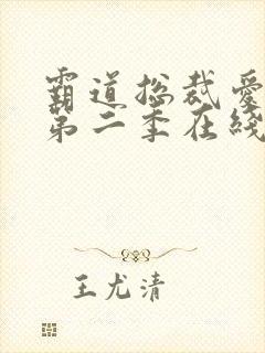 霸道总裁爱上我第二季在线观看
