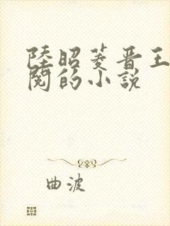 陆昭菱晋王周时阅的小说