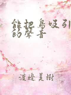 能把鸟吸引过来的声音