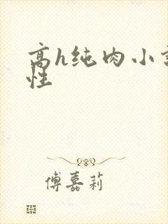 高h纯肉小说双性