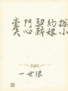 豪门契约总裁的失心新娘小说