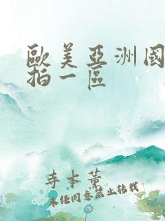 欧美亚洲国产偷拍一区