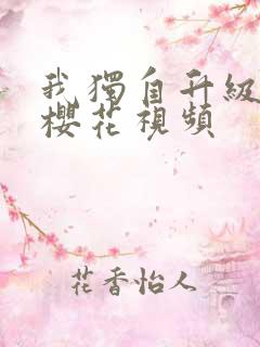 我独自升级动漫樱花视频