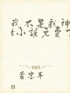 我不是戏神txt小说免费下载