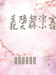 叶阳黎洁官途玉龙天骄小说
