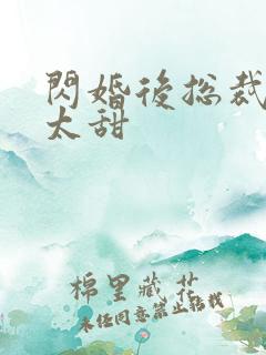 闪婚后总裁娇妻太甜