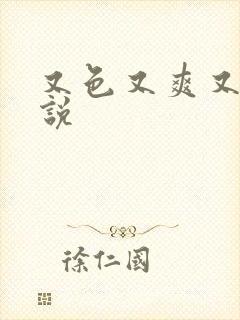 又色又爽又黄小说