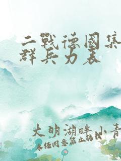 二战德国集团军群兵力表