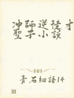 冲师逆徒才不是圣子小说
