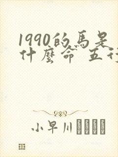 1990的马是什么命 五行属什么