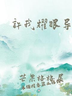 许我耀眼导演