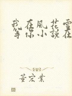 我在风花雪月里等你小说在线阅读