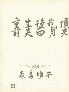重生后我顶替了前夫白月光讲的什么