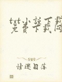 txt小说下载免费下载网站