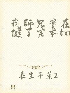 我师兄实在太稳健了完本txt下载