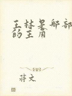 王林是哪部小说的主角
