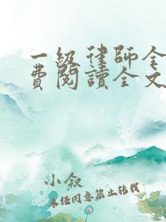 一级律师全集免费阅读全文
