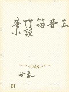 唐竹筠晋王什么小说
